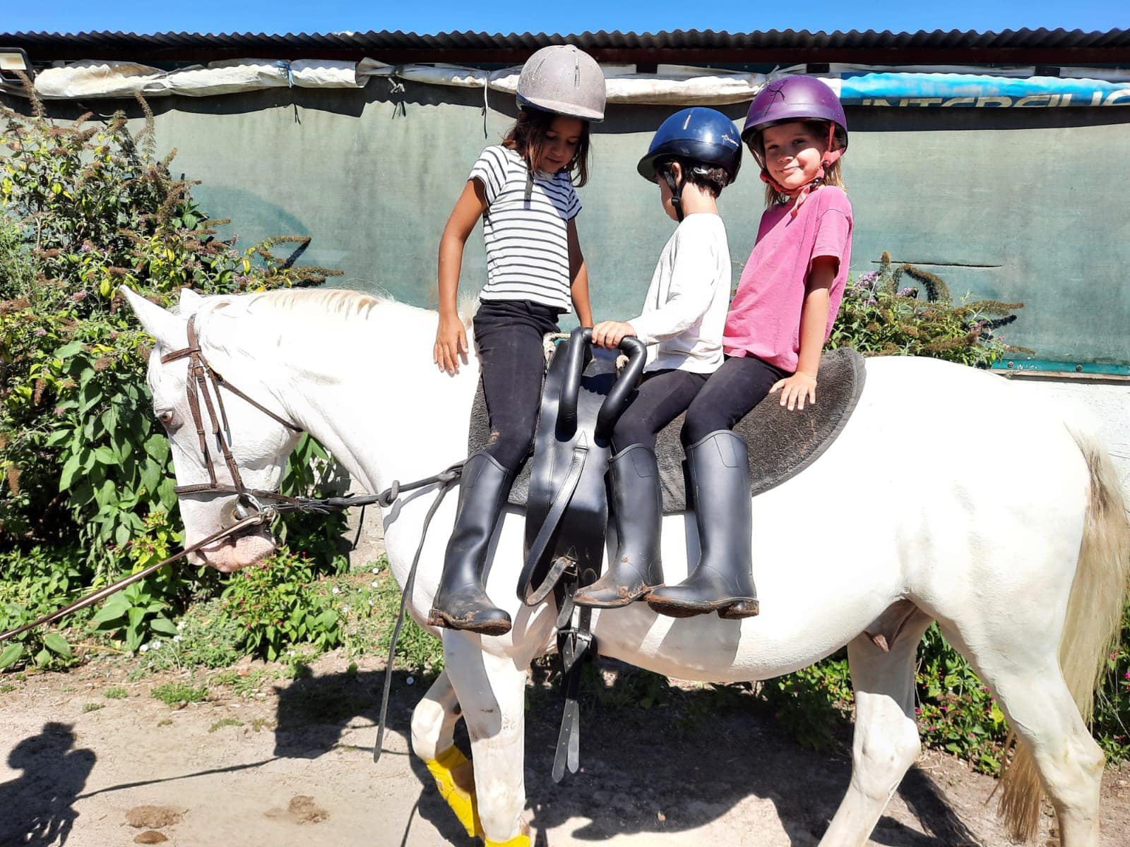 Chauville Equestre
