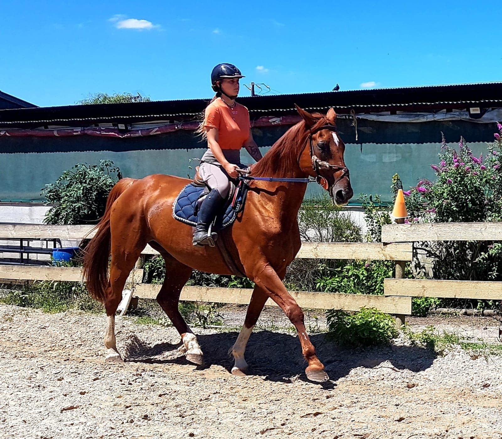 Chauville Equestre