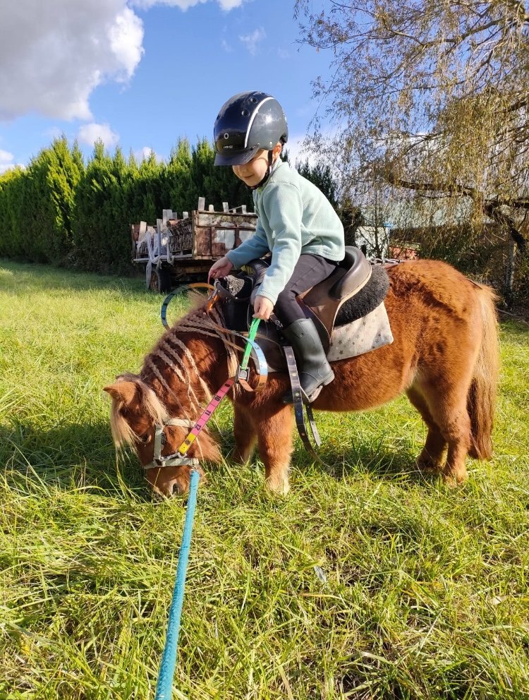 Chauville Equestre