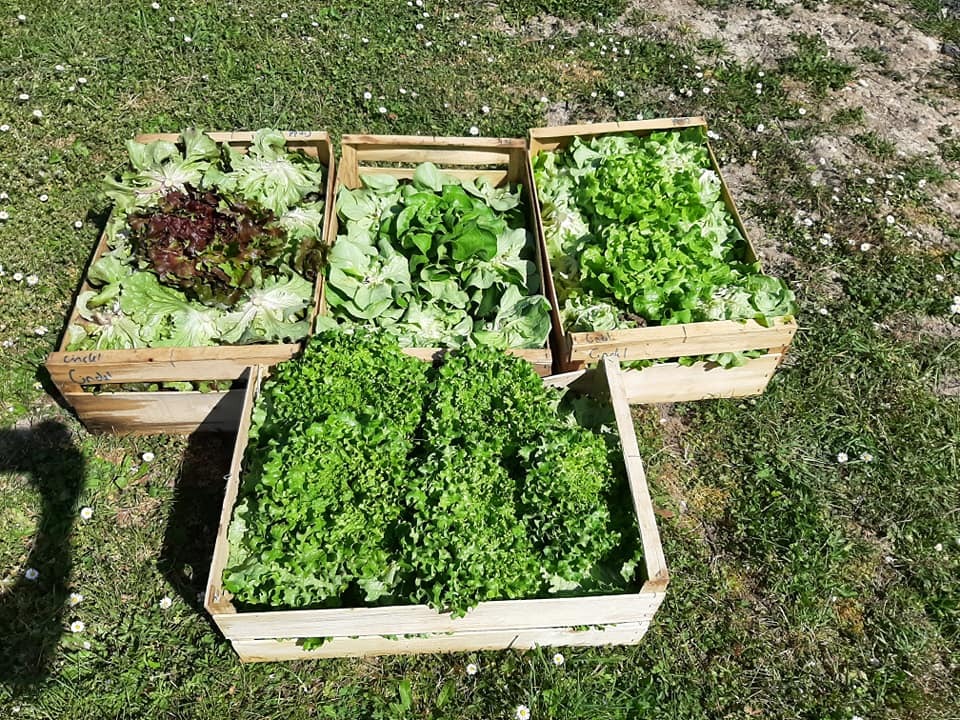 Ferme de la Nozaie