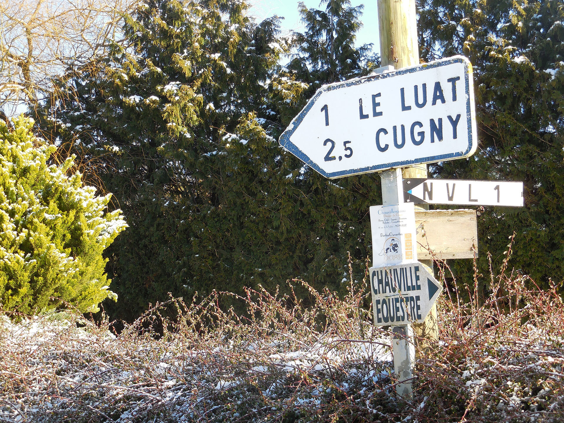 neighborville neighborville