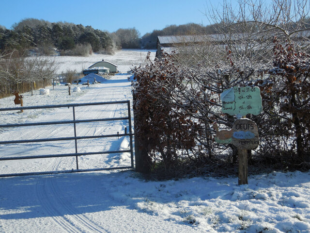 Nonville sous la neige