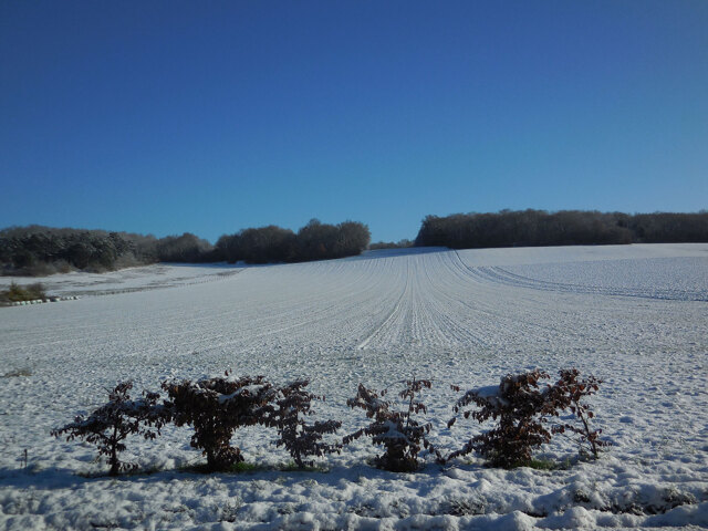 Nonville sous la neige