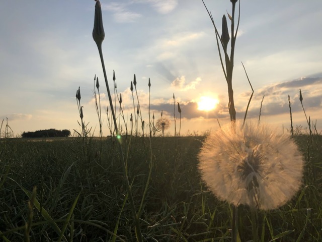 Coucher de soleil