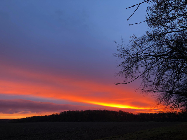 Levé de soleil en hiver