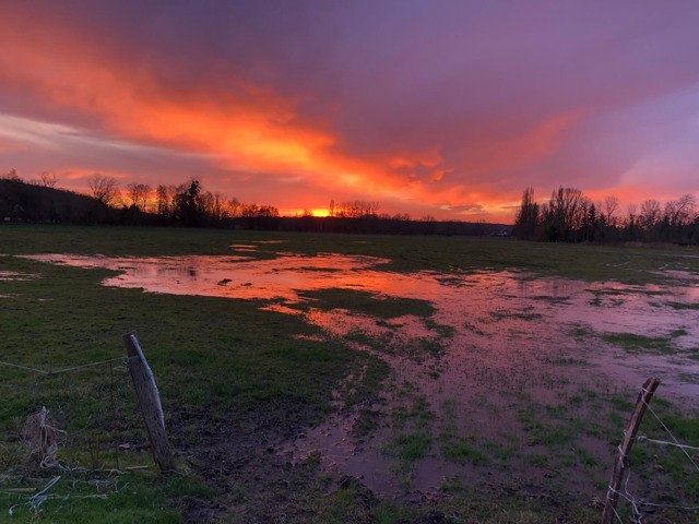 Lever de soleil hivernal